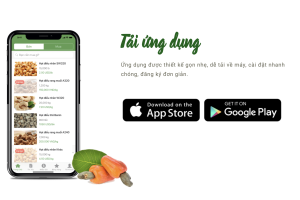 HADI APP - Cashew market online for Vietnamese